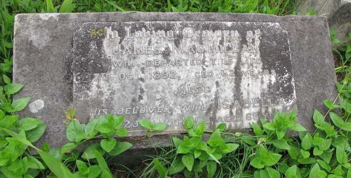 Photo of headstones/Isabella McLennan d 1908 hdstn Rookwood NSW